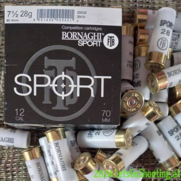 Bornaghi-Sport-28