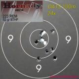 52gr HPBT Hornady - 100m - 09x200701