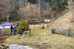 220226-Eisbaer-03