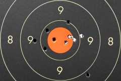 55gr HP BT PPU Rifle Line - 100m - 08x210224d