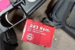55gr FMJ GECO Target