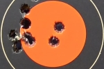 55gr TM NORMA Sierra SMP - 100m - 10f210224g