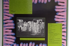 Fingerprince-vinyl-02