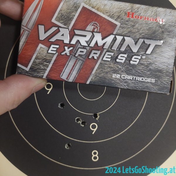 Hornady 40gr SP  Varmint - 241030