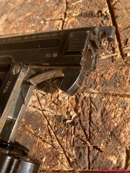 Steyr-Pieper-09