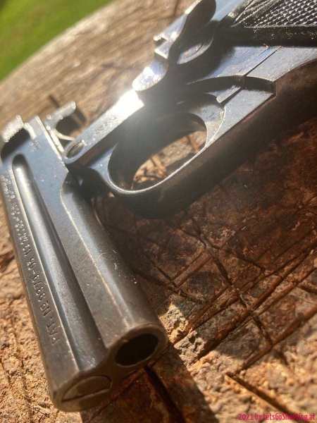 Steyr-Pieper-10