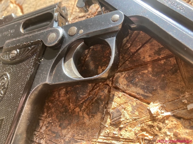 Steyr-Pieper-16