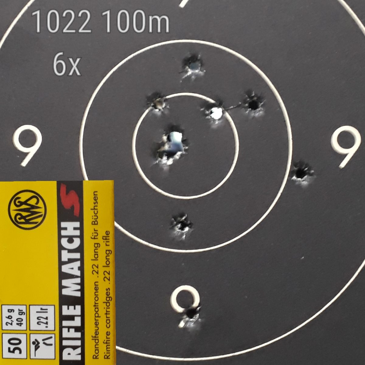 Ruger 10/22 100m Rifle Match Schiessbewerbe v1.0