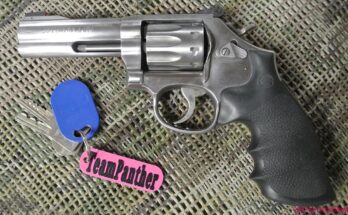 S&W 617 4" 10 shooter in .22lr