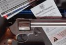 S&W 686 Target Champion