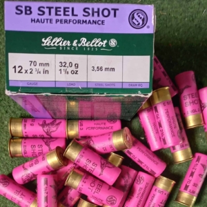 SB-Steel-Shot-32 SB-Steel-Shot-32