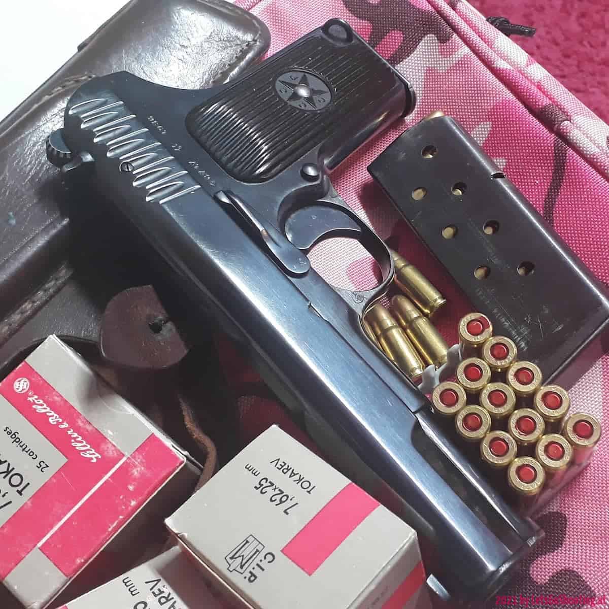 20200515 Tokarev-TT33-0019 20200515 Tokarev-TT33-0019