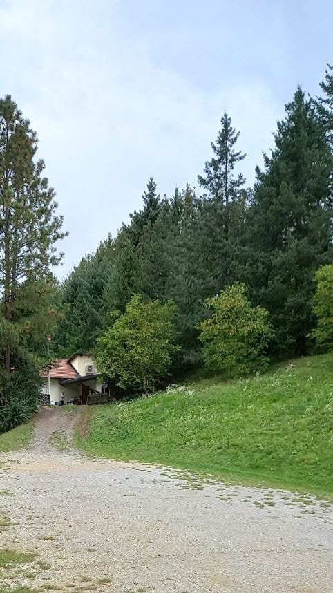 210918-Flinte-Senftenberg hidden