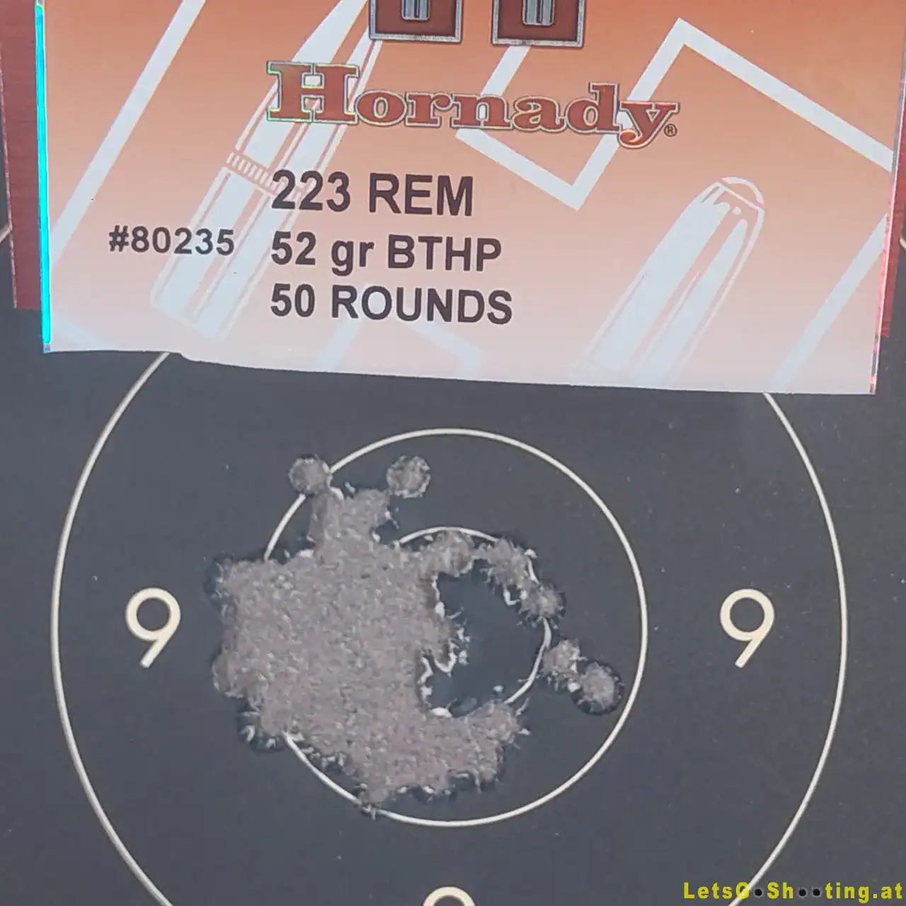 Oberland Arms OA15