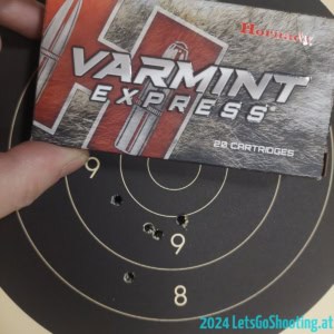 Hornady 40gr SP Varmint - 241030 Hornady 40gr SP Varmint - 241030