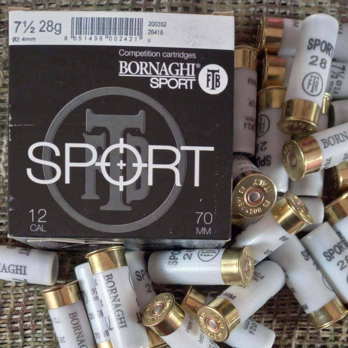 Bornaghi-Sport-28 Bornaghi-Sport-28